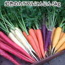 【ふるさと納税】期間限定 にんじん 人参 虹色 カラフル 5kg 塩農法 サラダ セット 贈り物 ギフト 送料無料