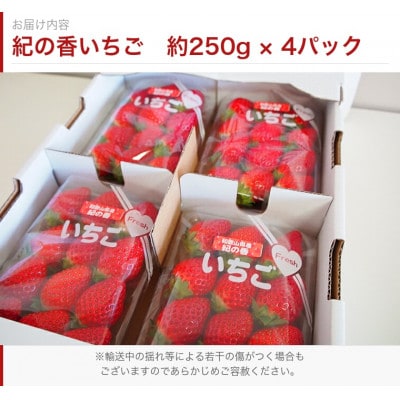 紀州和歌山ブランドいちご「紀の香」約250g×4P【配送不可地域：離島・北海道・沖縄県】