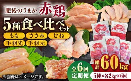 【6回定期便】肥後のうまか 赤鶏  5種食べ比べセット（モモ ささみ ムネ 手羽先 手羽元）各2kg【やまうちフード株式会社 熊本営業所】 鶏肉 銘柄鶏  ささみ ササミ 鶏肉 赤鶏 熊本県  [ZAB013]