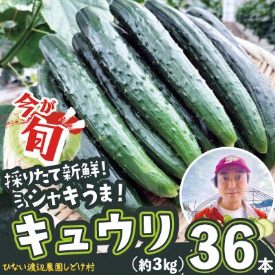 ふるさと納税 大館市 キュウリ 採りたてシャキ旨!36本