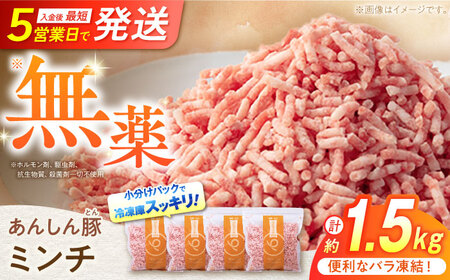 豚肉 ミンチ 約1.5kg ひき豚肉 / 藤井ファーム[AWAF033]