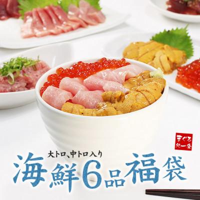 ふるさと納税 いわき市 豪華海鮮6品福袋 大トロ 中トロ 生ウニ イクラ ネギトロ 鮪漬け【計730g】(イクラアメリカ産)