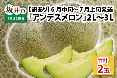 【先行予約】【訳あり】アンデスメロン2L～3L　2玉【2025年6月中旬～7月上旬出荷予定】 [A-3214]