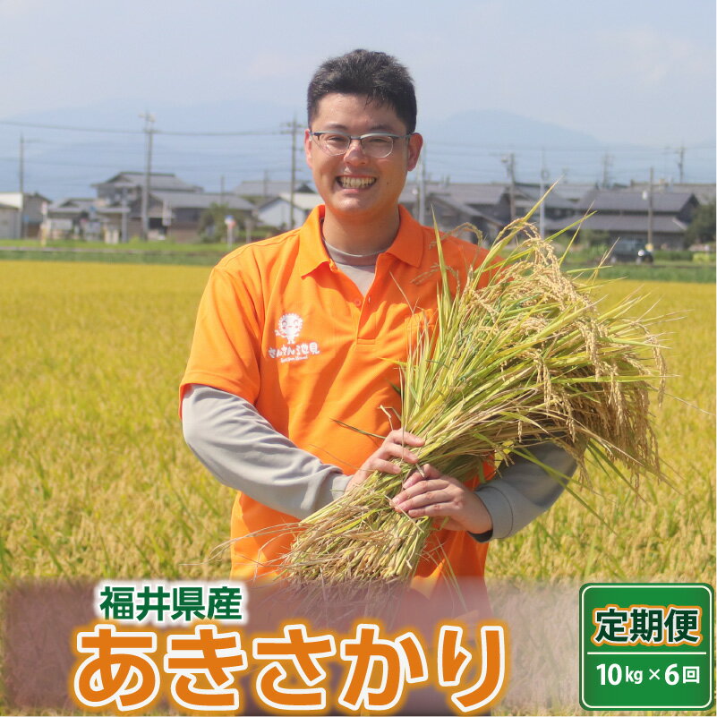 【ふるさと納税】【令和7年産・新米】定期便 ≪6ヶ月連続お届け≫ あきさかり 10kg × 6回 〜坂井市三国町産・こだわりの精米対応〜 米 お米 定期便 10キロ 60kg 60キロ