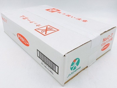 伊予柑ゼリー 30個 大容量 みかん 伊予柑 柑橘 みかんゼリー ゼリー フルーツゼリー 果物 果肉 果汁 数量限定 お菓子 おやつ デザート お取り寄せ スイーツ ギフト 贈答用 プレゼント まとめ