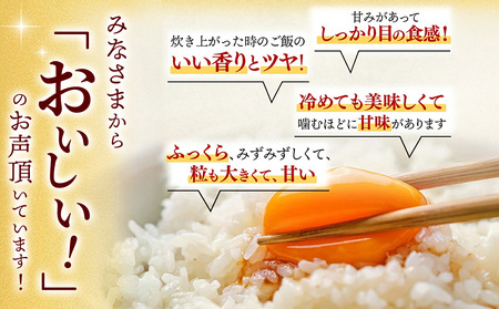 【定期便6ヶ月 新米】令和7年産 さがびより 精米 10kg×6回【特A受賞米 定期便 佐賀県産 人気 お米 コメ 増田米穀】(H015208)