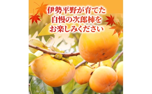 【先行予約】2026年度発送 玉城町産玉城次郎柿 訳あり品 約10kg 【 訳あり 柿 早生次郎柿 フルーツ 果物 甘柿 2026年10月下旬～11月下旬発送 】