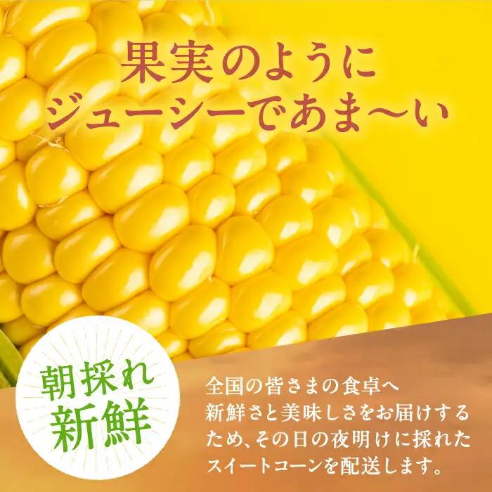 【先行予約】夜明けのスイートコーン 4kg×1箱 7-10本 [VCO001] コーン とうもろこし