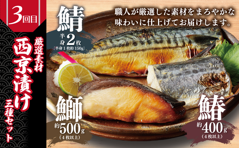 栄物産店主厳選 食べ比べ 定期便 全5回【毎月配送コース】 099Z249_イメージ4