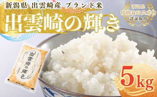 【コシヒカリ】令和7年産 5㎏ 新潟県 「出雲崎の輝き」新潟産コシヒカリ 新潟県産こしひかり 出雲崎町産 5キロ 特別栽培米 ブランド米 白米 精米 お米