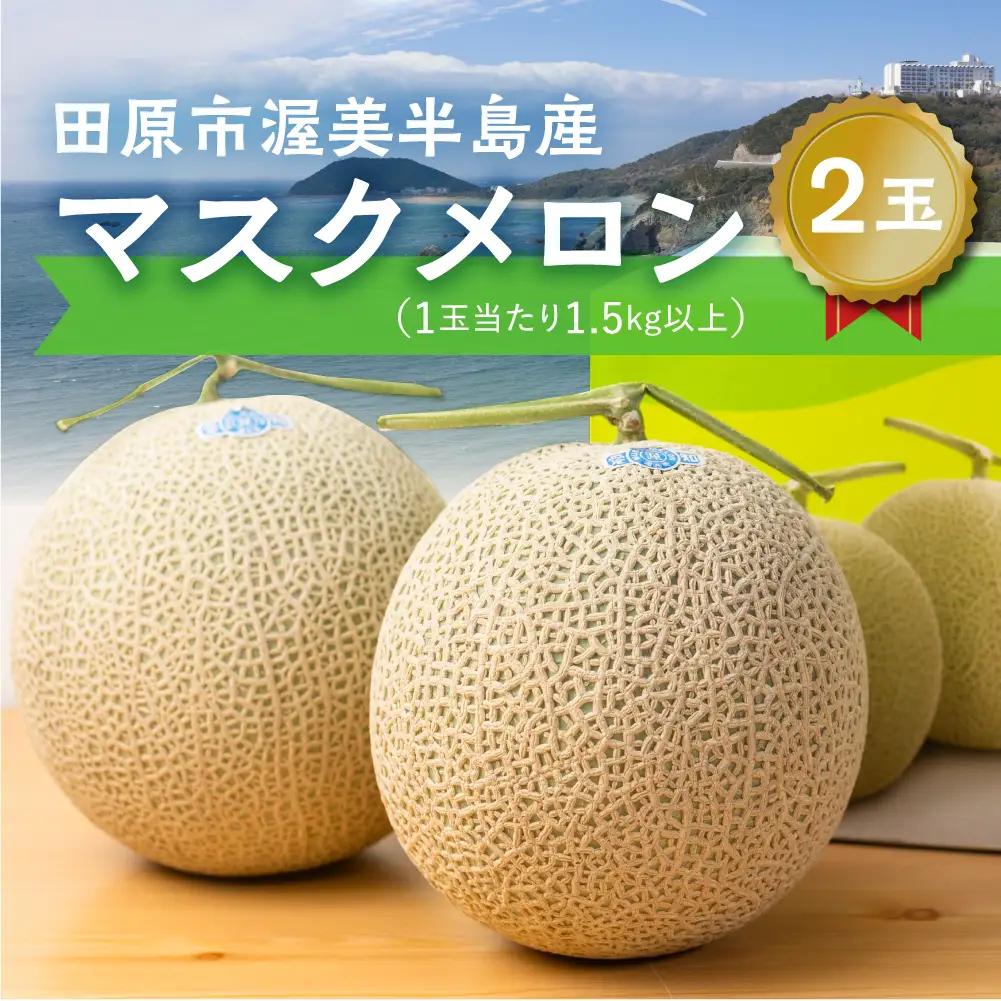 【6月中旬～発送】マスクメロン 2玉 メロン マルカベジフル 