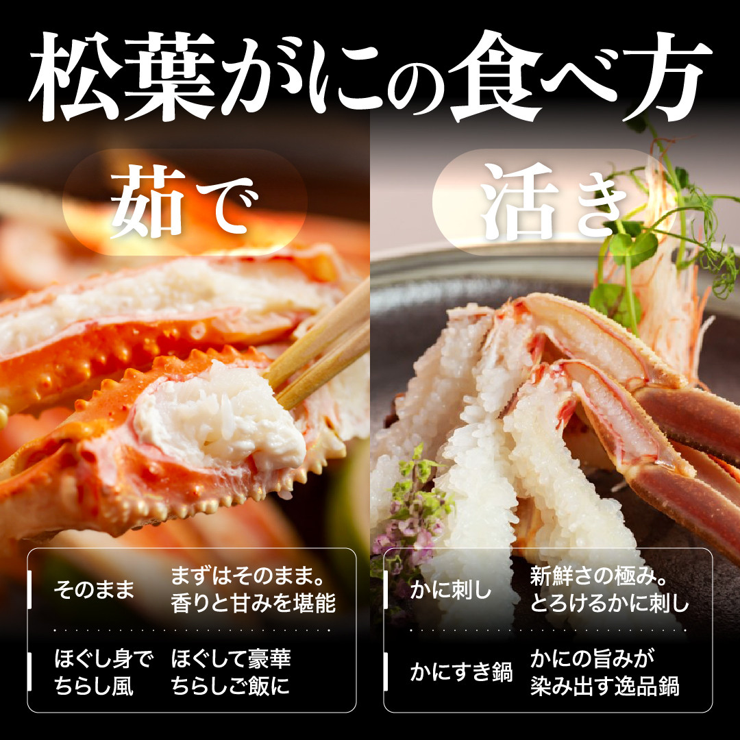 【2025年11月発送】特撰 松葉がに（なま）【ブランドタグ付き】800g超の大きいサイズ 食べ応えあり 特大2杯