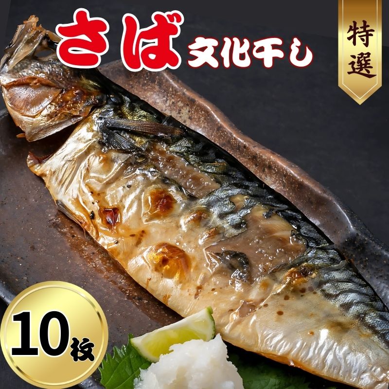 【ふるさと納税】 特選 さば文化干し 10枚 ショウマル下谷