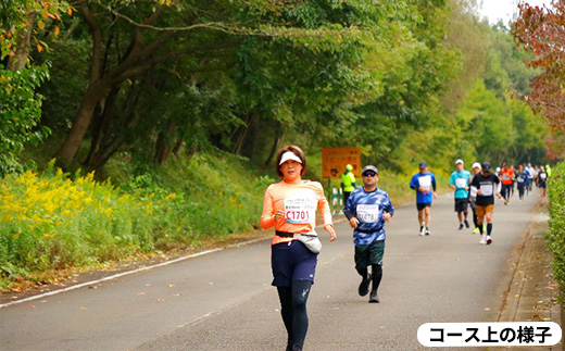 「川崎レイクサイドマラソン」ハーフマラソン出走権（1名分）　【04324-0206】
