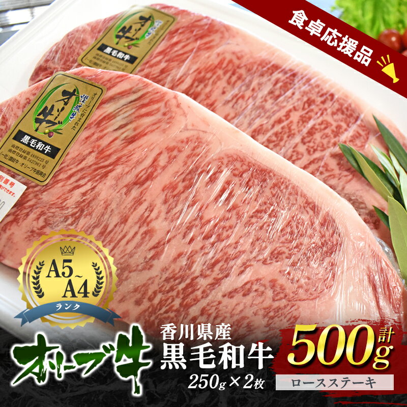 【ふるさと納税】「9月30日までの期間限定」香川県産黒毛和牛オリーブ牛「ロースステーキ 250g×2枚」数量限定 サーロインステーキ お肉 牛肉　お届け：2025年7月上旬～10月末まで