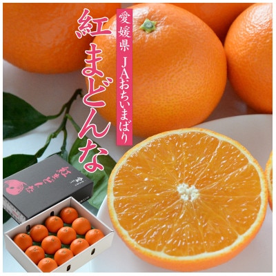 【先行受付】紅まどんな　化粧箱　3L～L　10～15玉　愛媛県　JAおちいまばり
