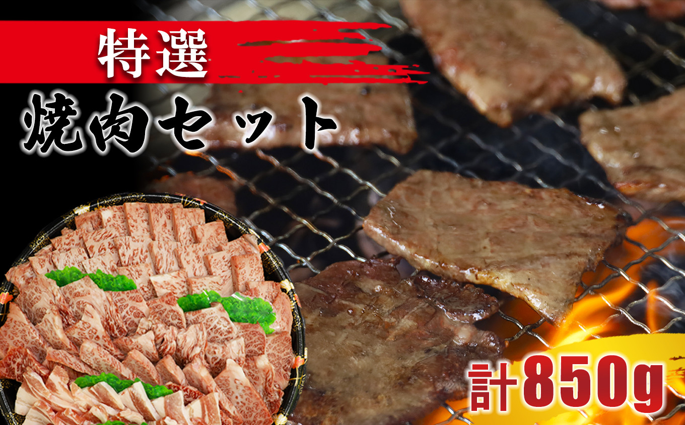 
特選焼肉セット 計850g　(ロース300g・カルビ300g・牛タン100g・豚肉150g）
