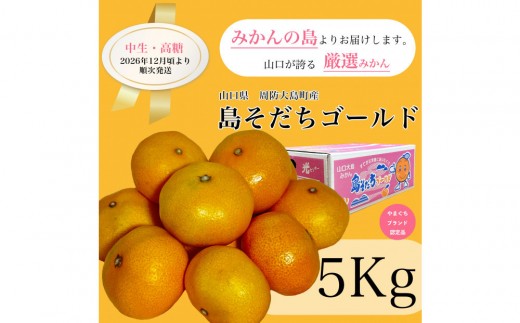 
                  【やまぐちブランド認定品】2026年12月頃より順次発送!島そだちゴールド(中生・高糖) 5kg
                