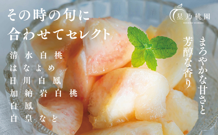 【星乃白桃】岡山県産 三つ星 セレクト白桃 1.2kg (4～5玉)【配送不可地域：離島】【1614276】