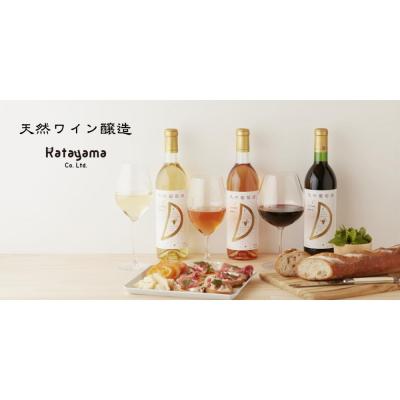 ふるさと納税 川崎市 天然ワイン醸造 酸化防止剤無添加 天然葡萄酒 赤中辛 マスカットベリーA 720ml × 2本 |  | 03