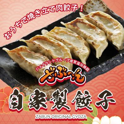 ふるさと納税 沼津市 ざぶ〜んの自家製餃子　50個(1pc/10個入×5pc)