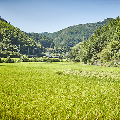 だっぱん米 高知県産 にこまる 龍馬脱藩の道がある村でとれたお米（精米2kg×2袋）_イメージ2