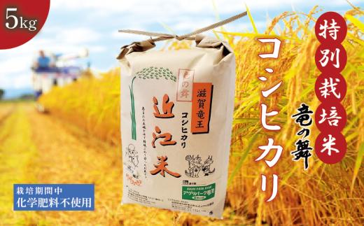 新米 【令和6年9月上旬より順次発送】 こしひかり 白米 5kg 2024年産 竜の舞 化学肥料不使用 特別栽培米 国産 安心 安全 近江米 米 お米 白米 お弁当 玄米 産地直送 滋賀県 竜王町 送料無料