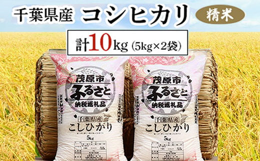 
【新米先行受付】令和6年産 千葉県産コシヒカリ 精米 10kg(5kg×2袋) ふるさと納税 コシヒカリ 米 精米 こめ 千葉県 茂原市 MBAD001
