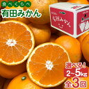 【ふるさと納税】【えらべる内容量（2kg・3kg・5kg）】定期便 ちょっと 傷あり 有田みかん 食べくらべ 3種 全3回 南泰園