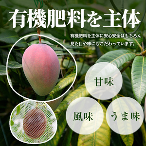 マンゴースイーツ マンゴー農家の贅沢マンゴープリン9個入 マンゴーの森 A-309 マンゴープリン マンゴープリン