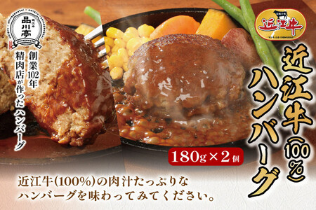 近江牛ハンバーグと近江牛と国産豚肉の合挽ハンバーグ詰合わせ 各180g×2個 合計4個 品川亭
