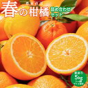 【ふるさと納税】春 柑橘 詰め合わせ 訳あり 5kg サイズ混合 2025年2月下旬より順次発送