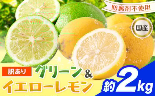訳あり 国産レモン 約2kg 《10月上旬-1月下旬頃出荷》産地直送 レモン 檸檬 グリーンレモン イエローレモン 防腐剤不使用