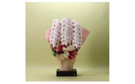 フォアスPREMIUM胡蝶蘭3本立ち42輪以上 リップ (B1033-2) 