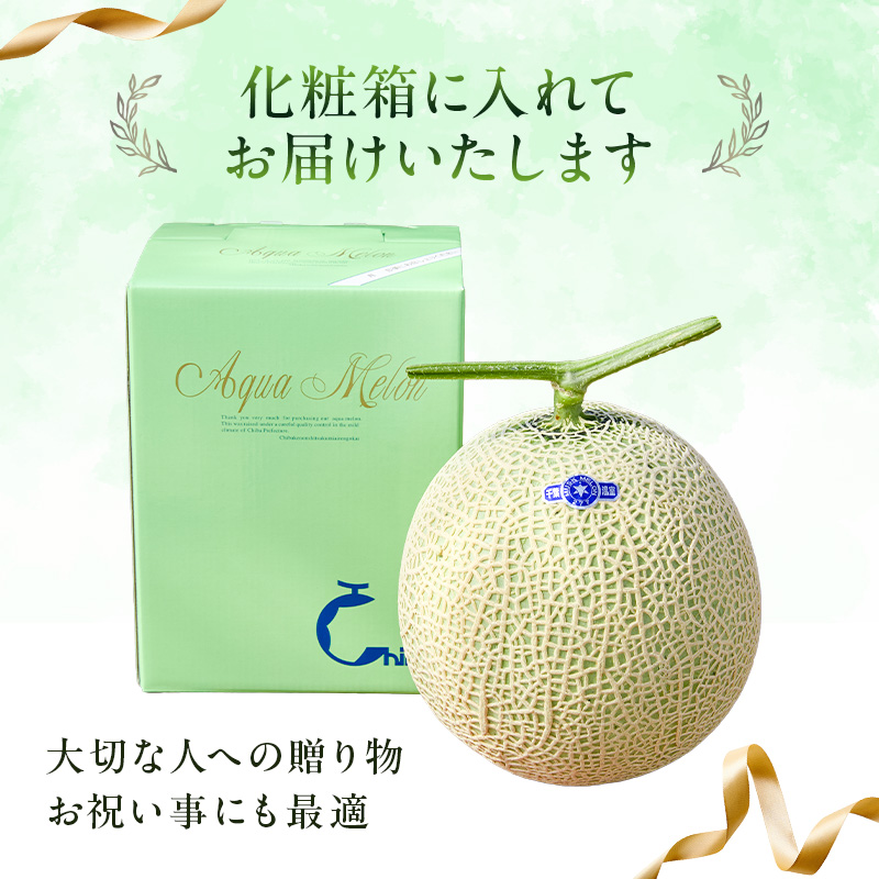 【定期便】千葉アクアメロン1玉（1.2Kg）【3か月連続お届け】 メロン 高級 フルーツ 果物 果汁 みずみずしい 別格 厳選 化粧箱入り ギフト 定期便 連続