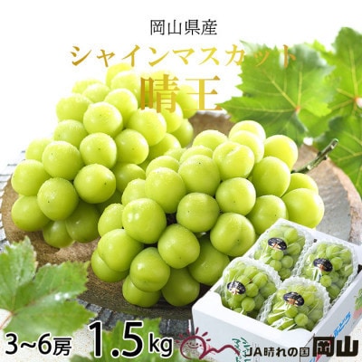 【2026年7月中旬より順次発送】岡山県産 シャインマスカット 晴王 1.5kg(3房～6房)【配送不可地域：離島・北海道・沖縄県】