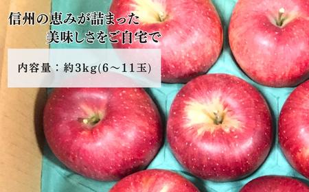 【2025年先行予約】りんご シナノスイート 6~11玉 約3kg ｜ りんご りんご りんご りんご りんご りんご