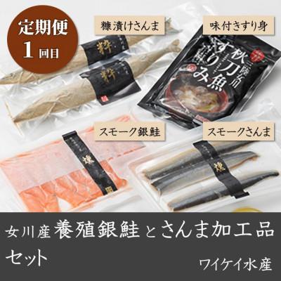 ふるさと納税 女川町 【3ヵ月毎定期便】さんま加工品食べ比べセット全4回 |  | 01