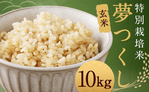 【玄米】 夢つくし （特別栽培米） 約10kg 福岡県産 令和7年産 玄米 米 こめ コメ