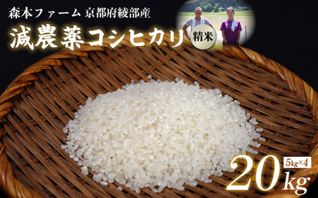 【令和7年産 先行予約】 減農薬コシヒカリ 精米 20kg 【 米 コシヒカリ こしひかり 5キロ 精米 白米 お米 おこめ 】