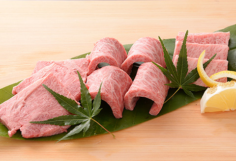 【最高級】飛騨牛A5ランク 肩ロース焼肉 500ｇ  【39-3】