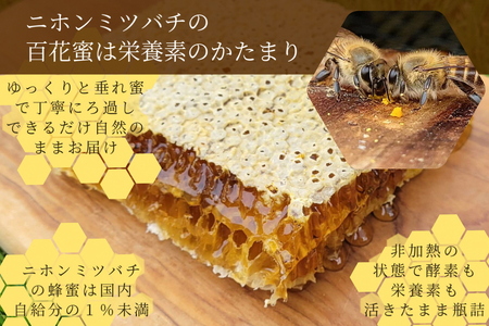 【数量限定】京都産 生はちみつ 3個セット【2種類】カカオニブはちみつ 110g×1個／プレーン生はちみつ 130g×2個《二ホンミツバチの生はちみつ 国産 純粋 蜂蜜 非加熱 無添加 ハチミツ 希少