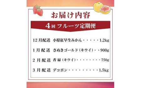 旬のフルーツ定期便 4回 Dコース フルーツ 定期便