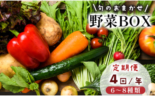【4回定期便】 京都 舞鶴 季節の野菜BOX 詰め合せ セット 6～8種類 年4回 定期便 ： 季節の野菜 旬の野菜 旬野菜 新鮮 京野菜 食品 冷蔵 八百屋 厳選 産地直送 やさい ベジタブル ボックス 野菜セット