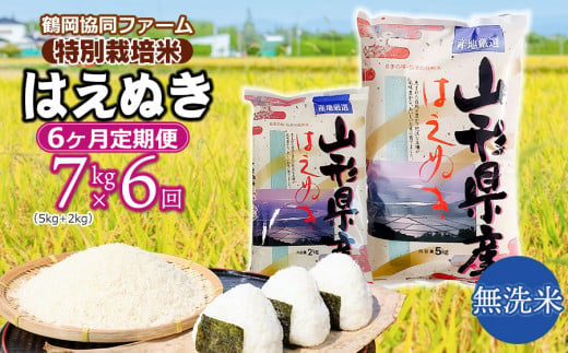 【令和7年産先行予約】 特別栽培米はえぬき 無洗米 7kg (5kg+2kg)×6ヶ月【定期便】　鶴岡協同ファーム