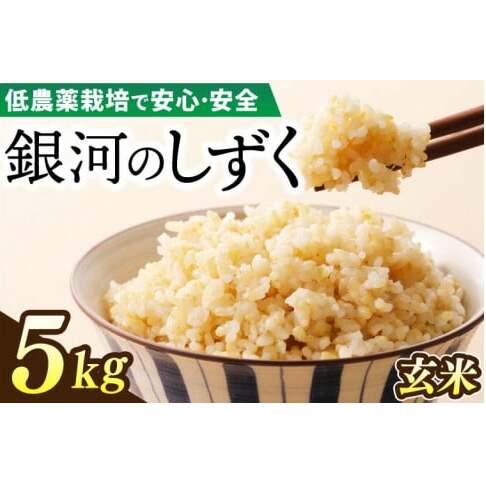 【新米 先行予約】令和6年産 銀河のしずく 5kg (玄米) 低農薬栽培米 生産者直送 (EI007)