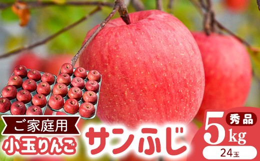 
                  令和8年産 《ご家庭用》小玉 りんご サンふじ 秀品 5kg（24玉） 2026年産 山形県産【2026年12月上旬頃から下旬頃発送予定】　014-B-HK008
                