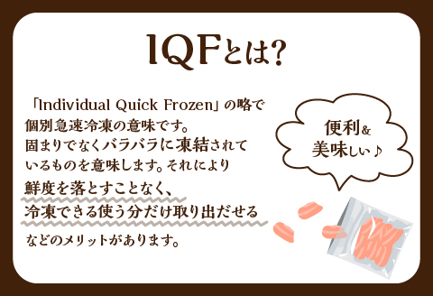 宮崎県産 若鶏モモ切身 IQF冷凍 250g×12袋 計3kg |鶏肉 鶏 鳥肉 鳥 肉 国産 若鶏 若鳥 モモ 切身 IQF