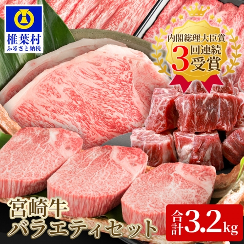 受賞歴多数!! ≪宮崎牛≫ お楽しみバラエティセット【合計3.2kg】【ステーキ・焼肉・すき焼き・しゃぶしゃぶ etc.】