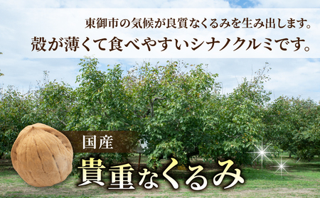 殻つきくるみ約1.4kg（2026年収穫分）｜JA信州うえだ東部地区営農課 ※2026年11月下旬以降発送 胡桃 信濃くるみ ナッツ 家庭用 自宅用 おつまみ おやつ 国産 信州 長野県東御市